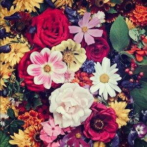 Meet your Posher, Drita